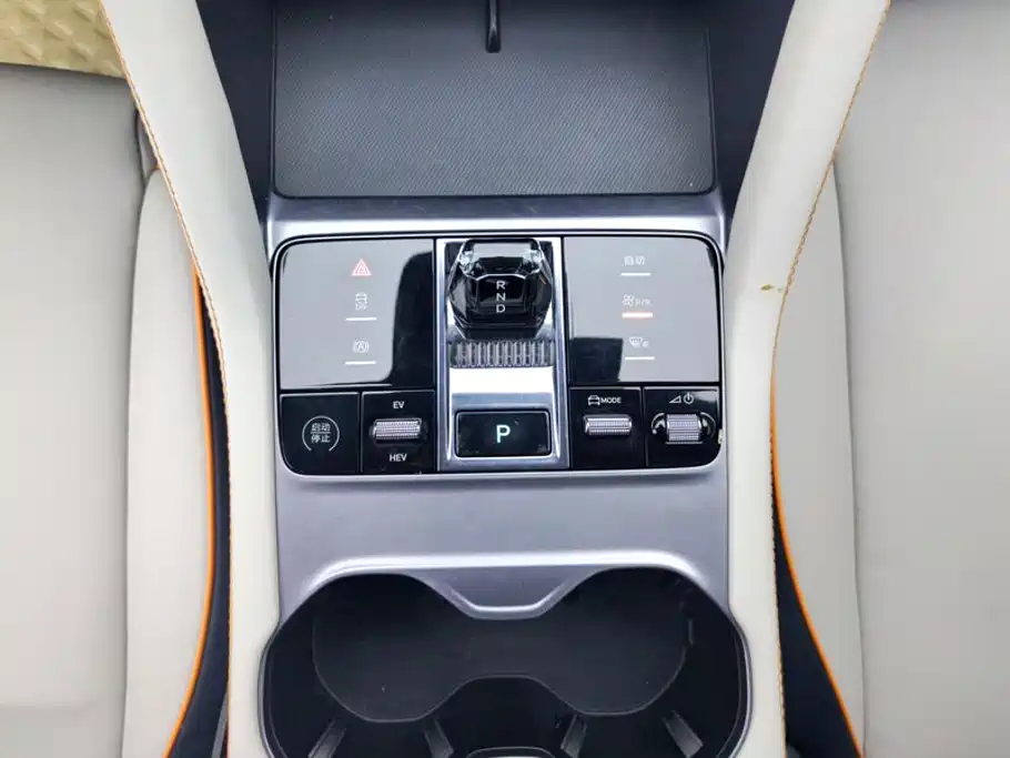 BYD Song PLUS New Energy 2023 — фото 16