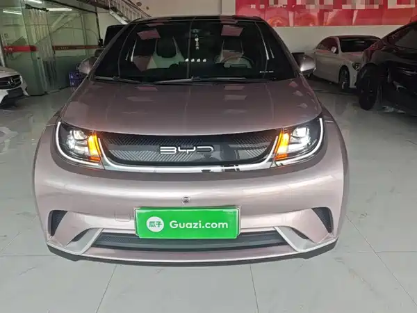 BYD Dolphin 2022