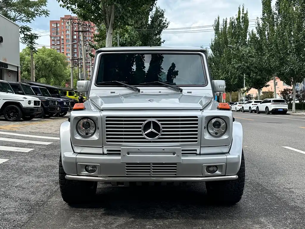 Mercedes-Benz G-Class AMG 2010 — фото 4