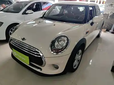 MINI MINI 2018