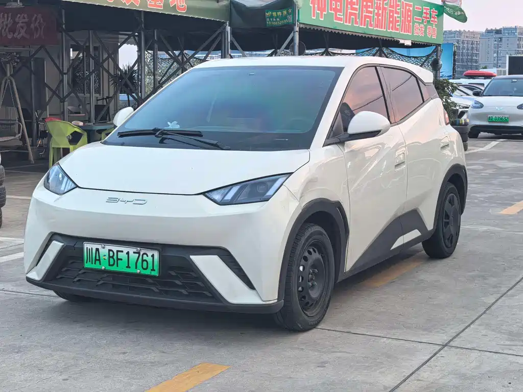 BYD Seagull 2024