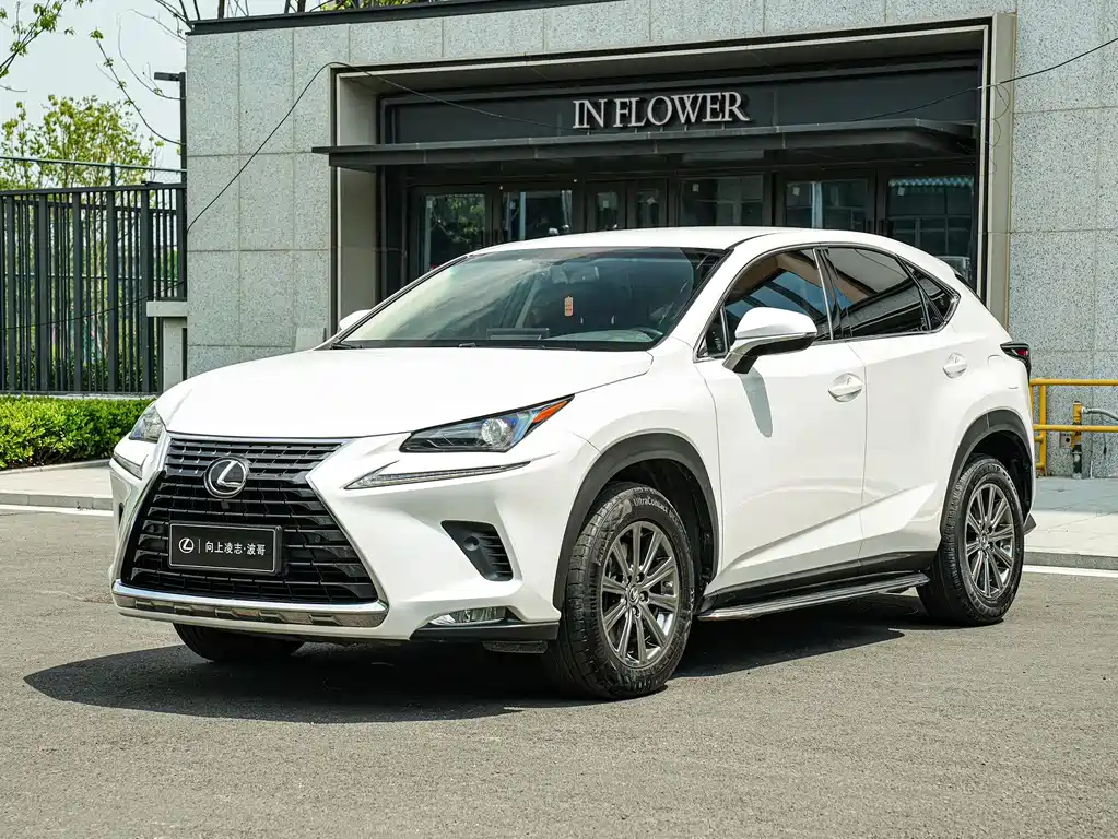 Lexus NX 2018 — фото 1