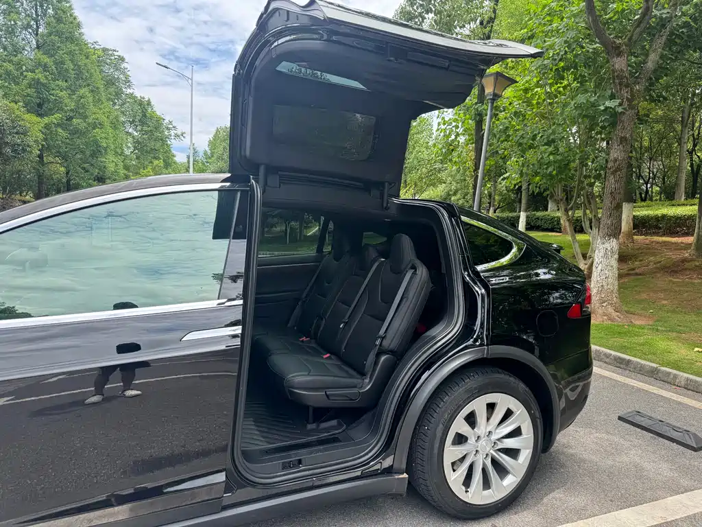 Tesla Model X 2019 — фото 12