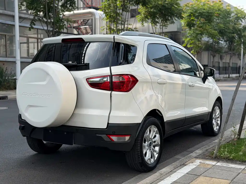 Ford Ecosport 2013 — фото 9