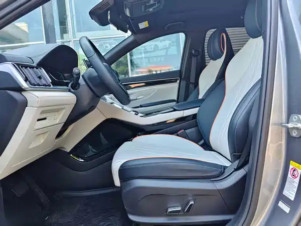 BYD Song PLUS New Energy 2021