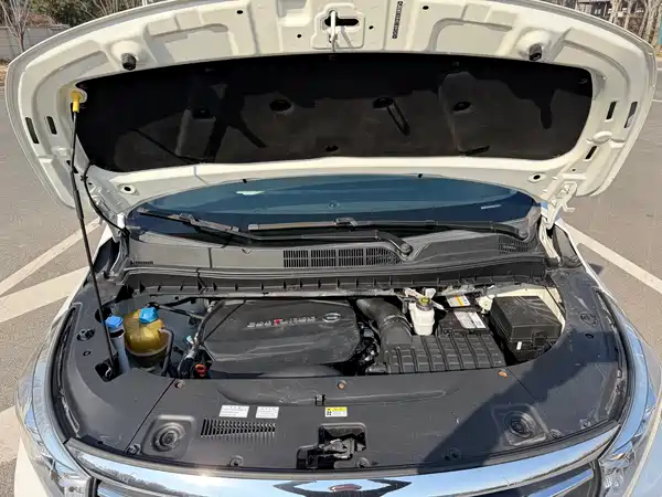GAC Trumpchi M8 2020