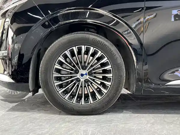Denza D9 2022