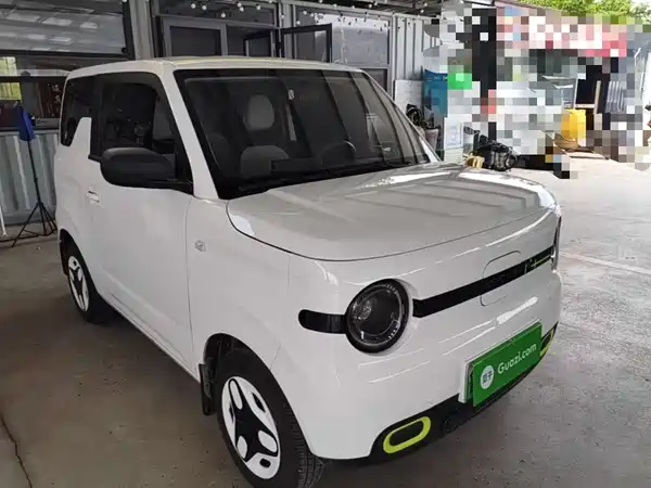 Geely Galaxy Panda 2025
