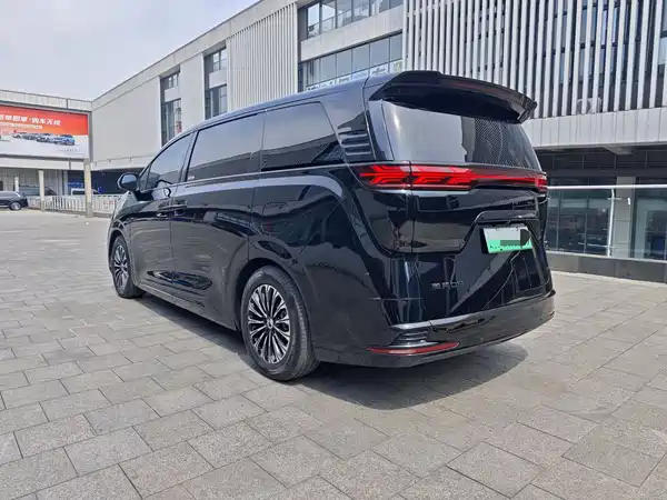 Denza D9 2024