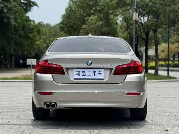 BMW 5 Series 2014