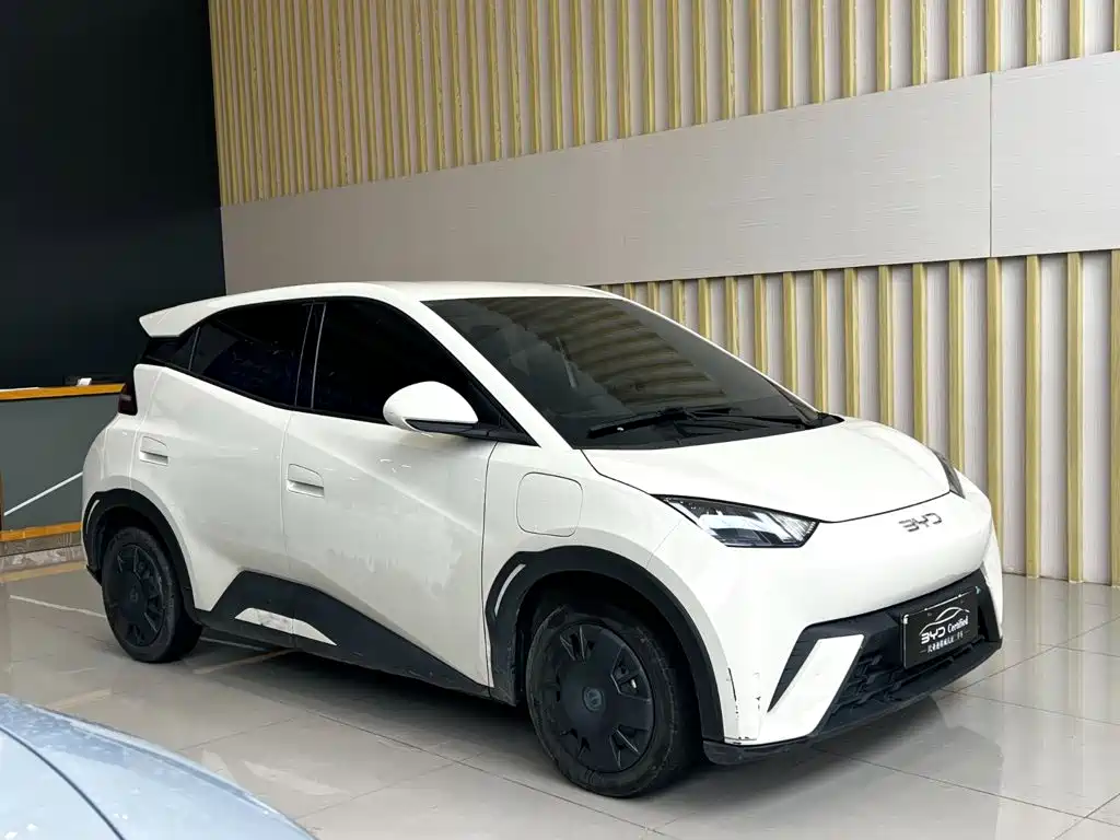 BYD Seagull 2024
