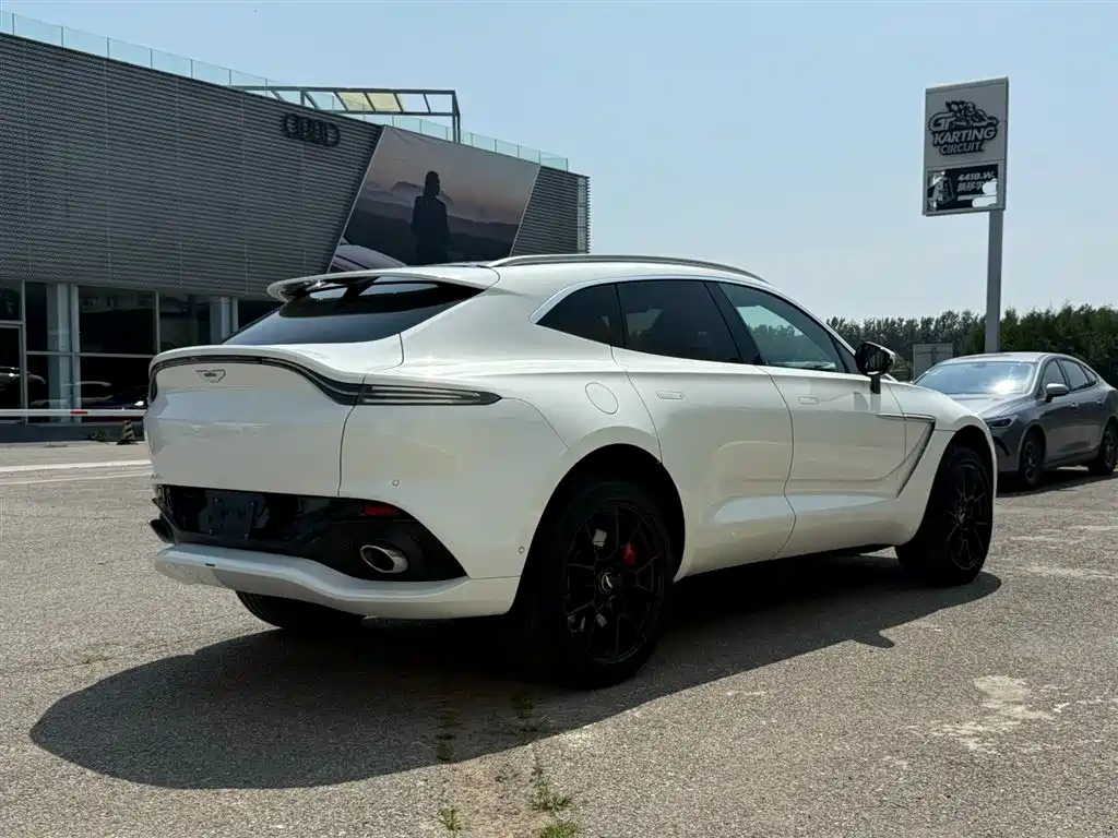 Aston Martin DBX 2021 — фото 10
