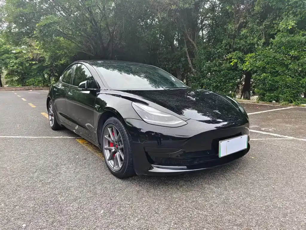 Tesla Model 3 2020 — фото 3