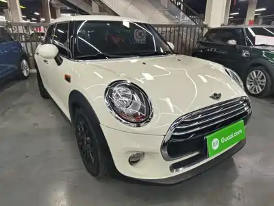 MINI MINI 2018