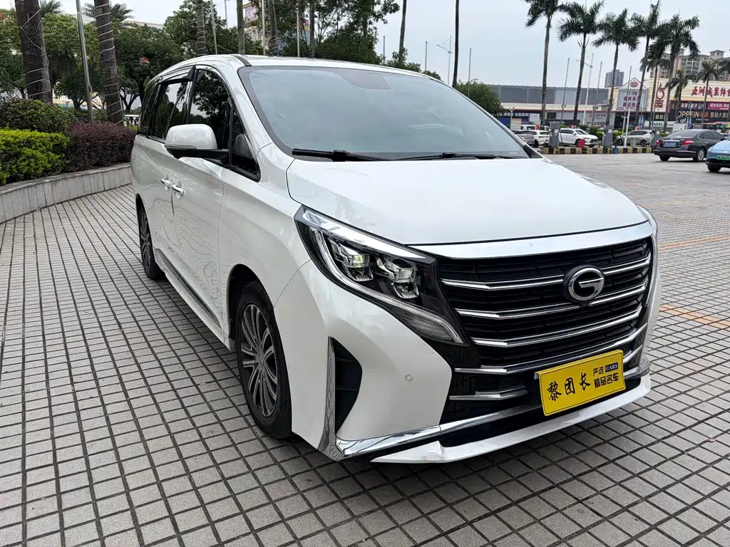 GAC Motor Trumpchi M8 2021 — фото 3