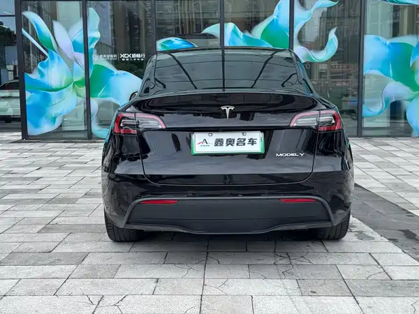 Tesla Model Y 2021