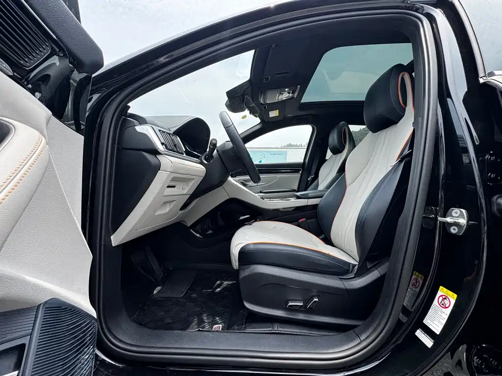 BYD Song PLUS New Energy 2024 — фото 11