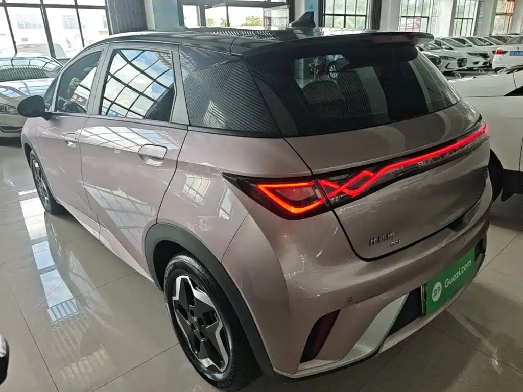 BYD Dolphin 2022