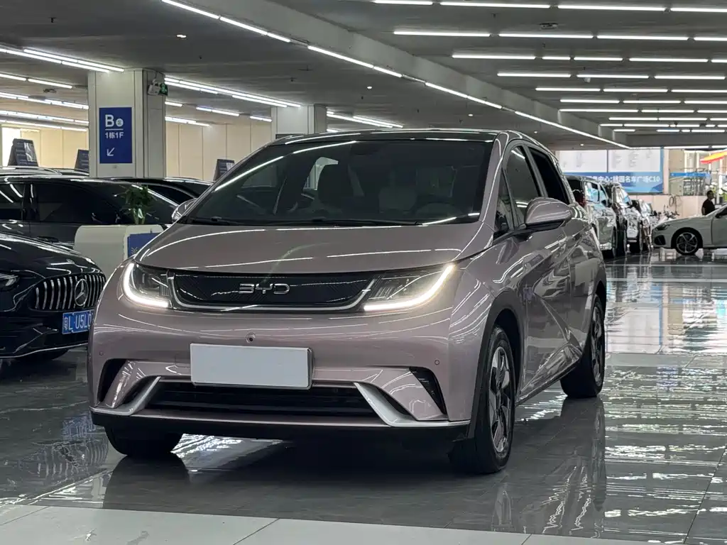 BYD Dolphin 2024