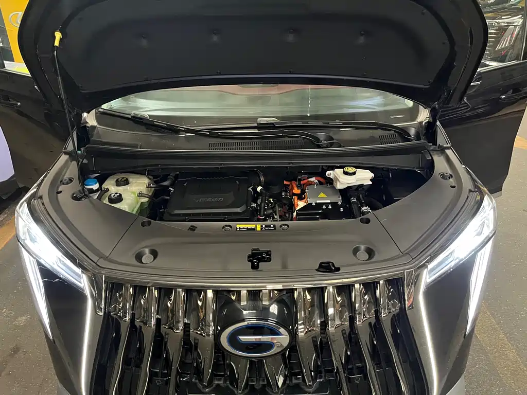 GAC Motor Trumpchi E9 2025 — фото 22