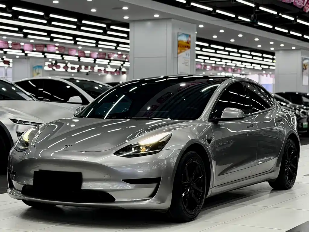 Tesla Model 3 2021 — фото 1