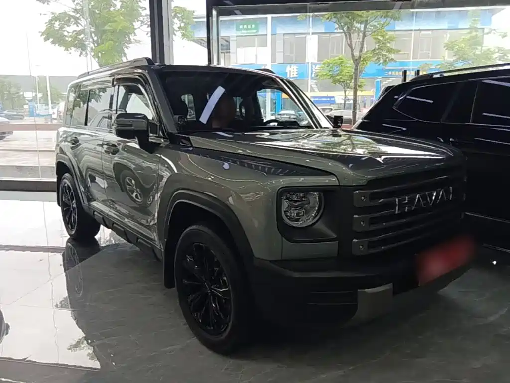 Haval Menglong New Energy 2024