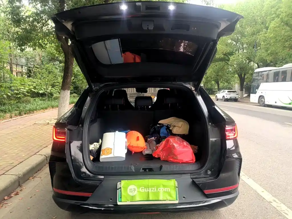 BYD PLUS New Energy 2022 — фото 15