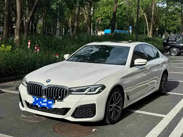 BMW 5 Series 2021
