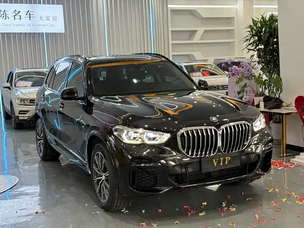 BMW X5 2022