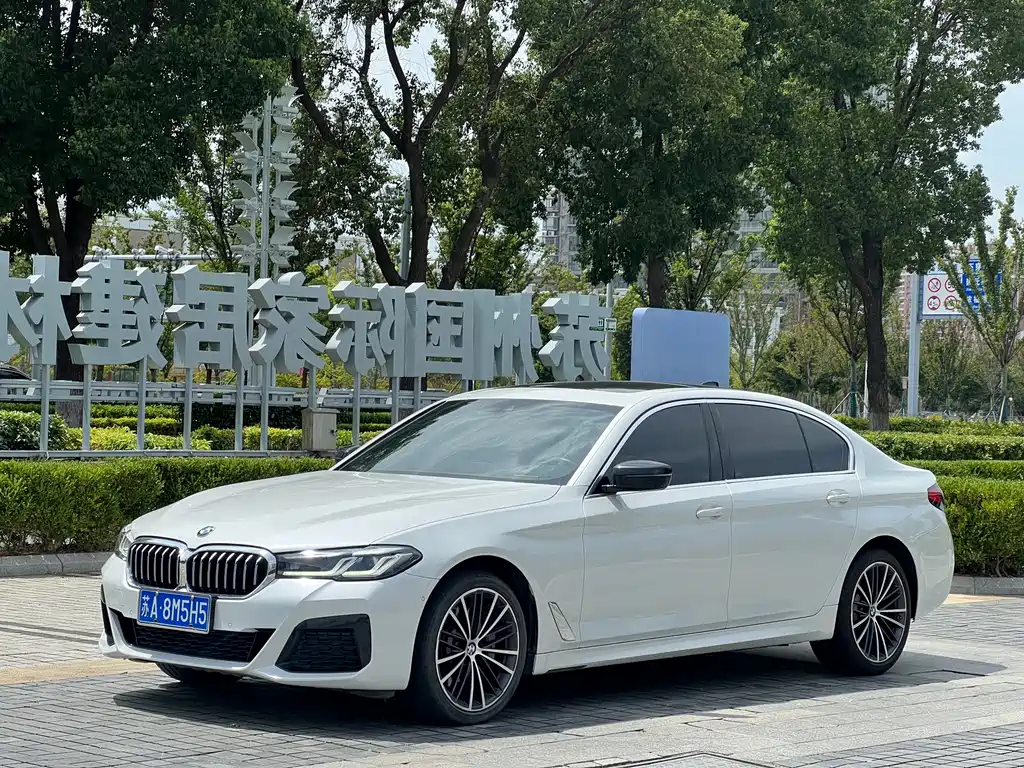 BMW 5 Series 2021