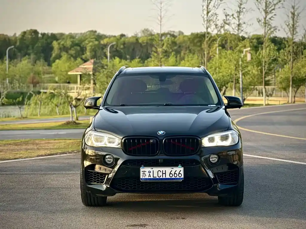 BMW X5 2014