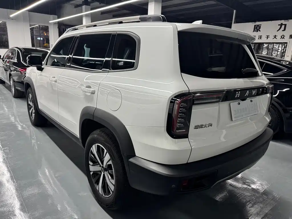 Haval Big Dog 2021 — фото 11