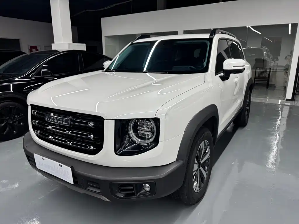 Haval Big Dog 2021 — фото 3