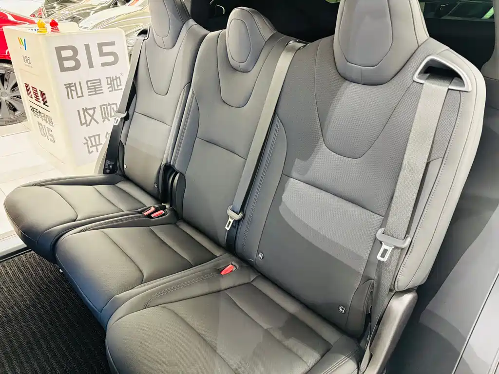 Tesla Model X 2023 — фото 19