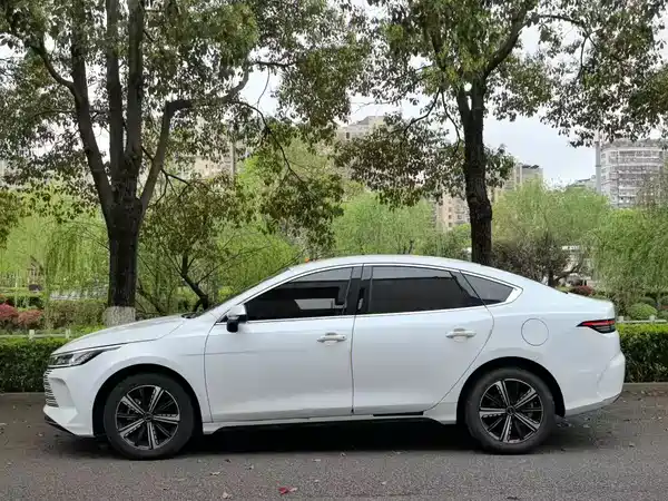 BYD Destroyer 05 2024