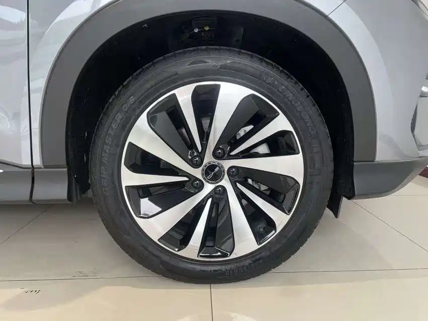 BYD PLUS New Energy 2024 — фото 10