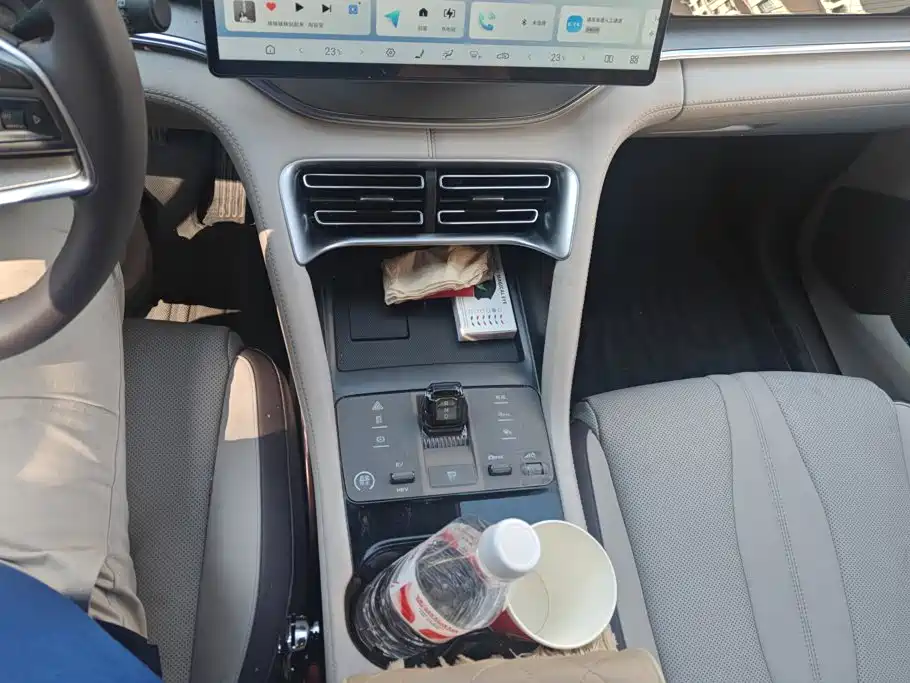BYD Song PLUS New Energy 2025 — фото 16