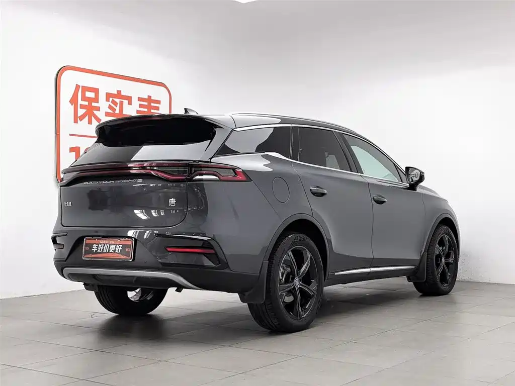 BYD Tang New Energy 2023 — фото 2