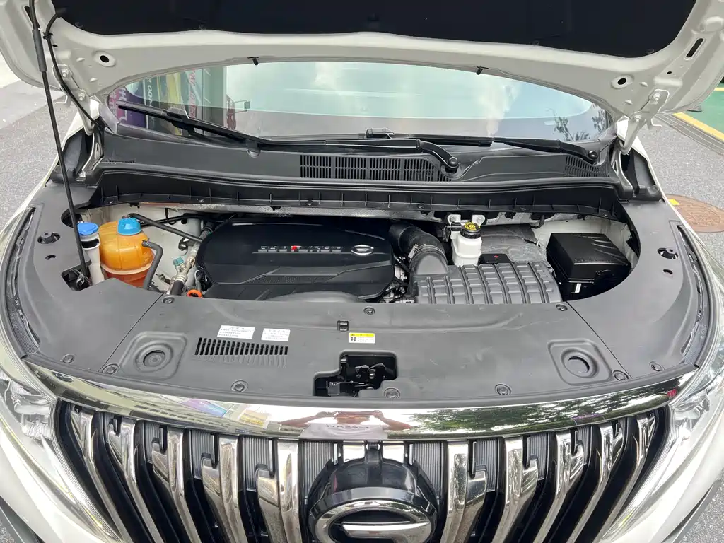 GAC Motor Trumpchi M8 2021 — фото 18