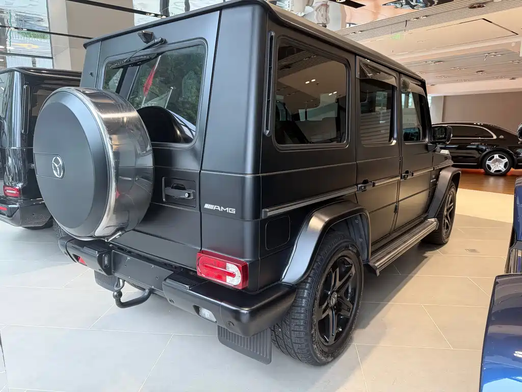 Mercedes-Benz G-Class AMG 2009 — фото 10