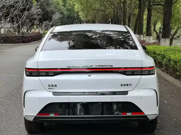BYD Destroyer 05 2024