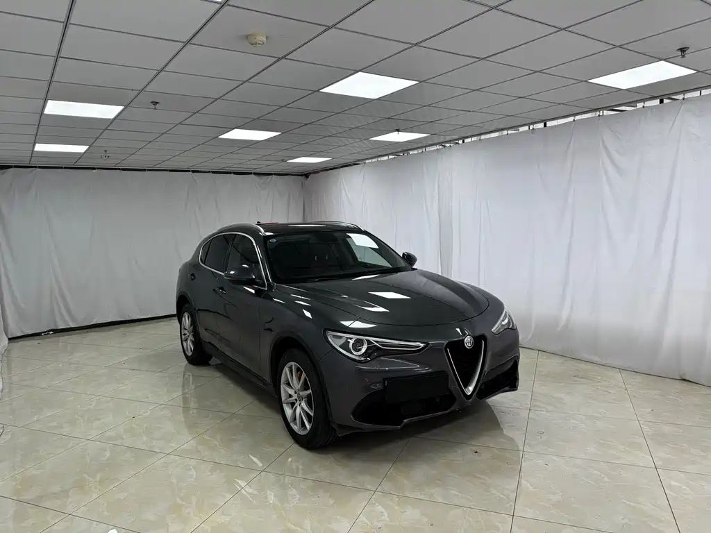 Alfa Romeo Stelvio 2019 — фото 10