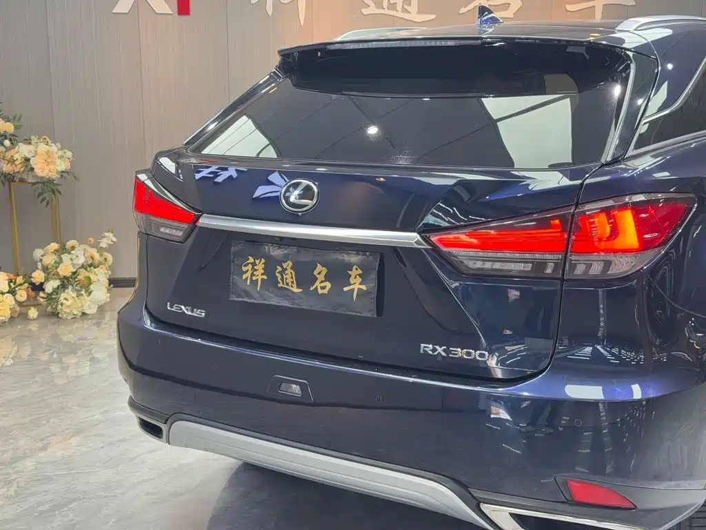 Lexus RX 2020 — фото 20