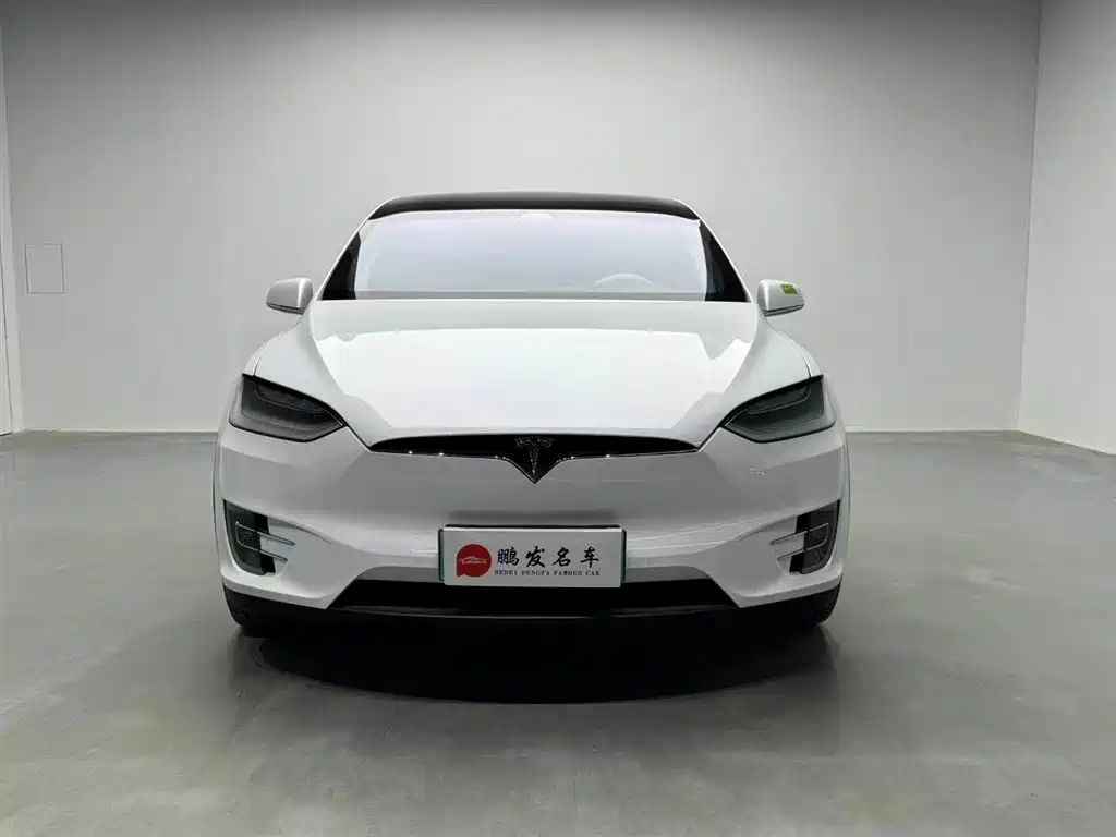 Tesla Model X 2019 — фото 2