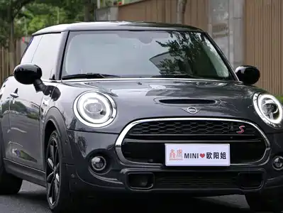 MINI MINI 2021