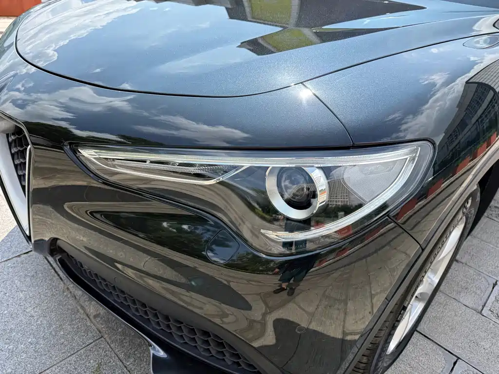 Alfa Romeo Stelvio 2019 — фото 12