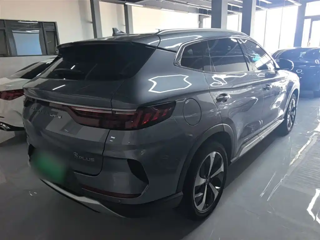 BYD PLUS New Energy 2023 — фото 7