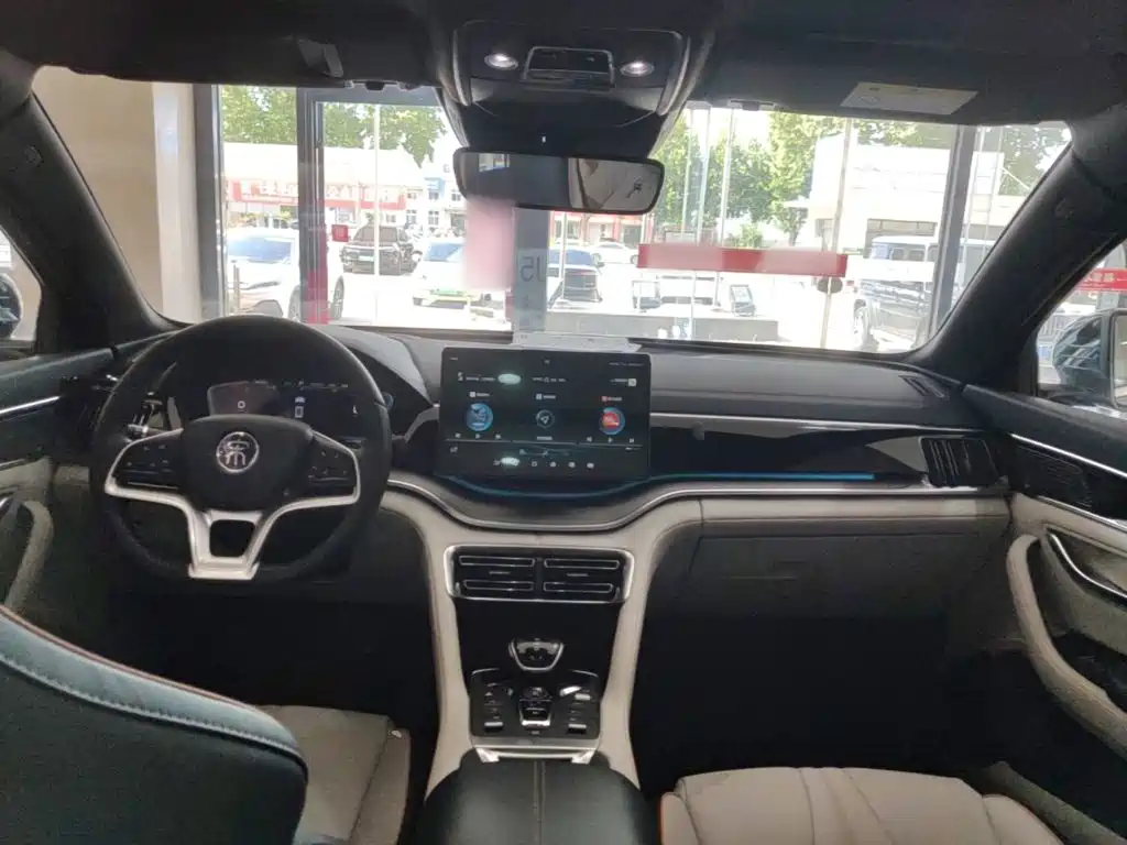BYD Song PLUS New Energy 2021 — фото 10