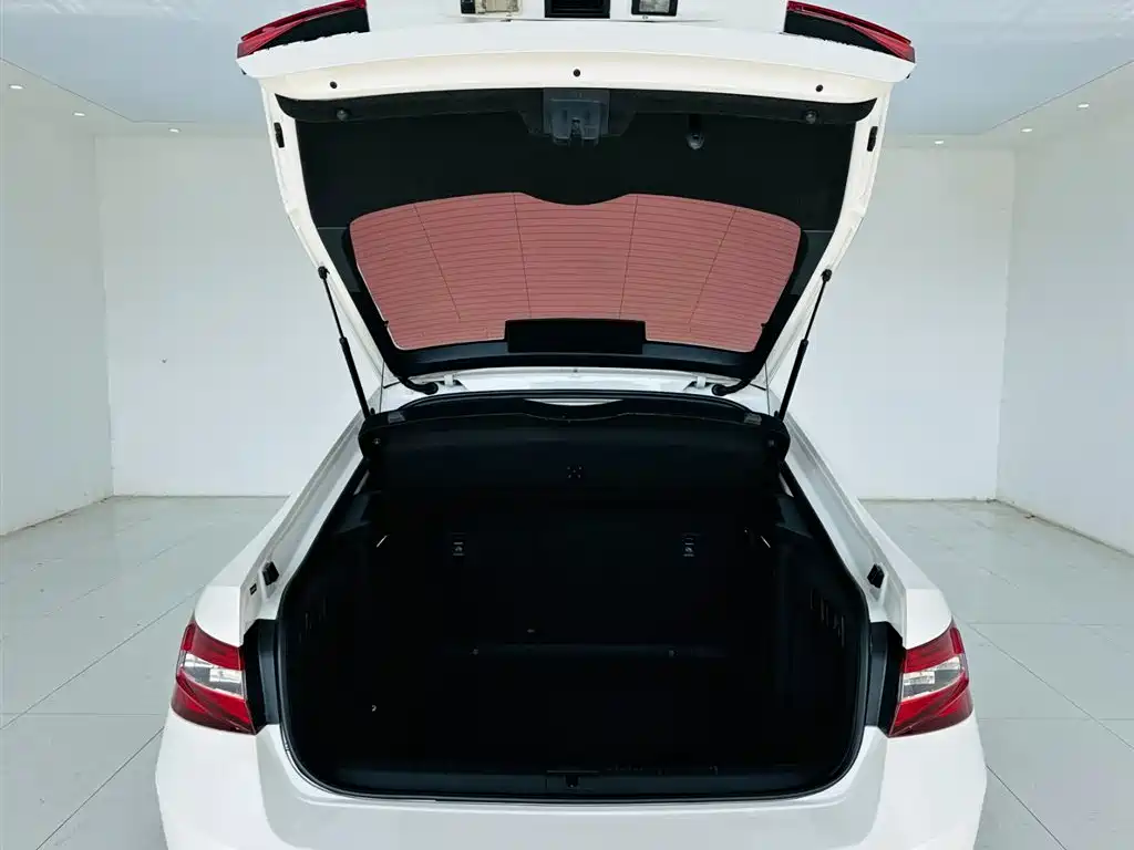 Skoda Speedy 2016 — фото 24