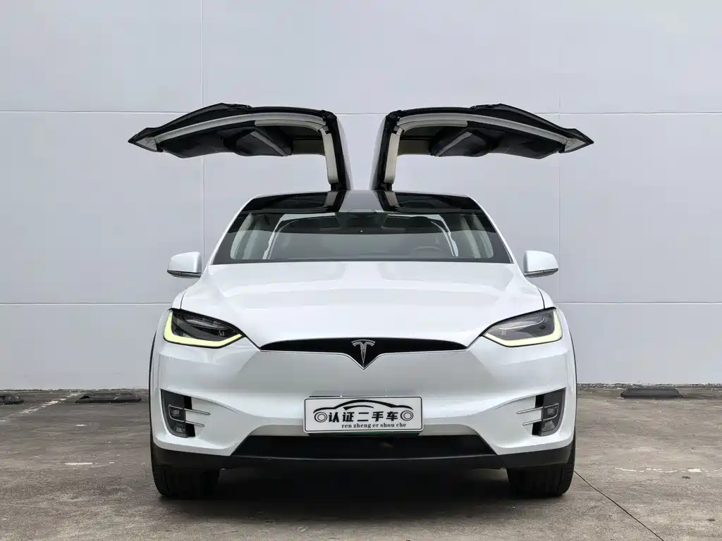 Tesla Model X 2019 — фото 2